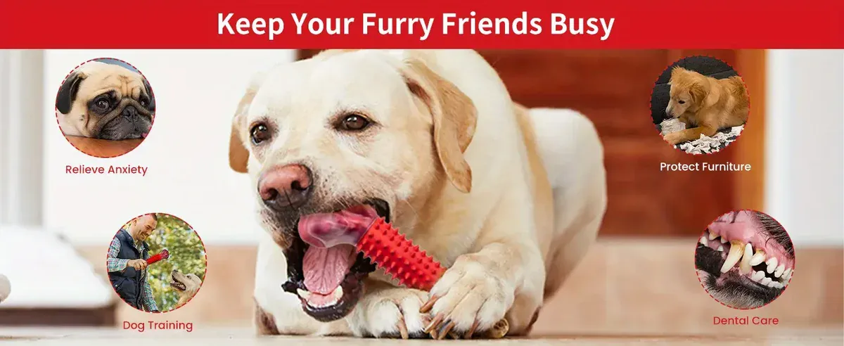 Dog Chew Toy for Chewing & Teething with Nylon and Rubber Construction – description image 3