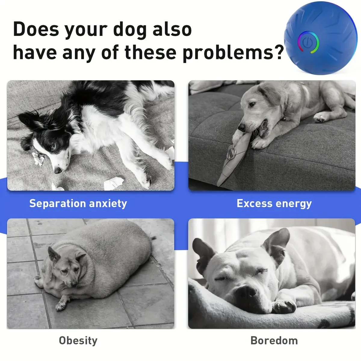 USB Rechargeable Pet Bouncy Ball for Interactive Rolling & Bouncing Play – description image 2