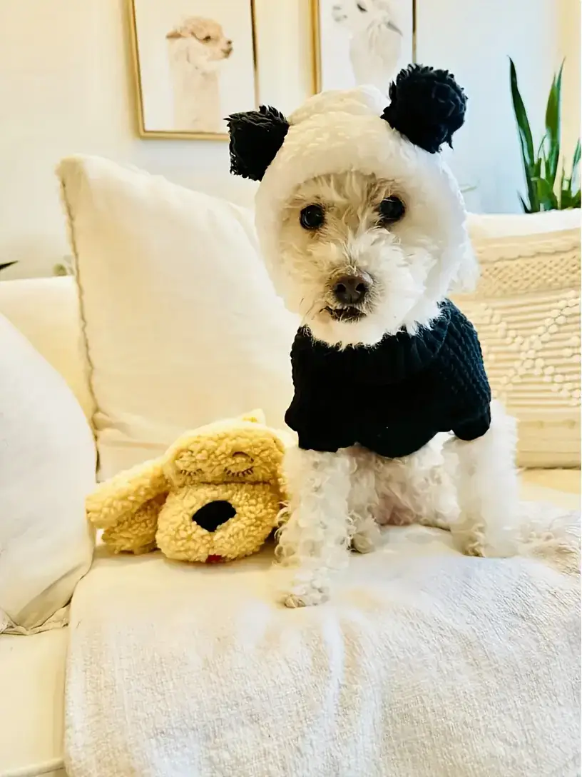 High-Neck Pet Cuffs for Neck Coverage & Warmth, Textured Fabric – description image 4