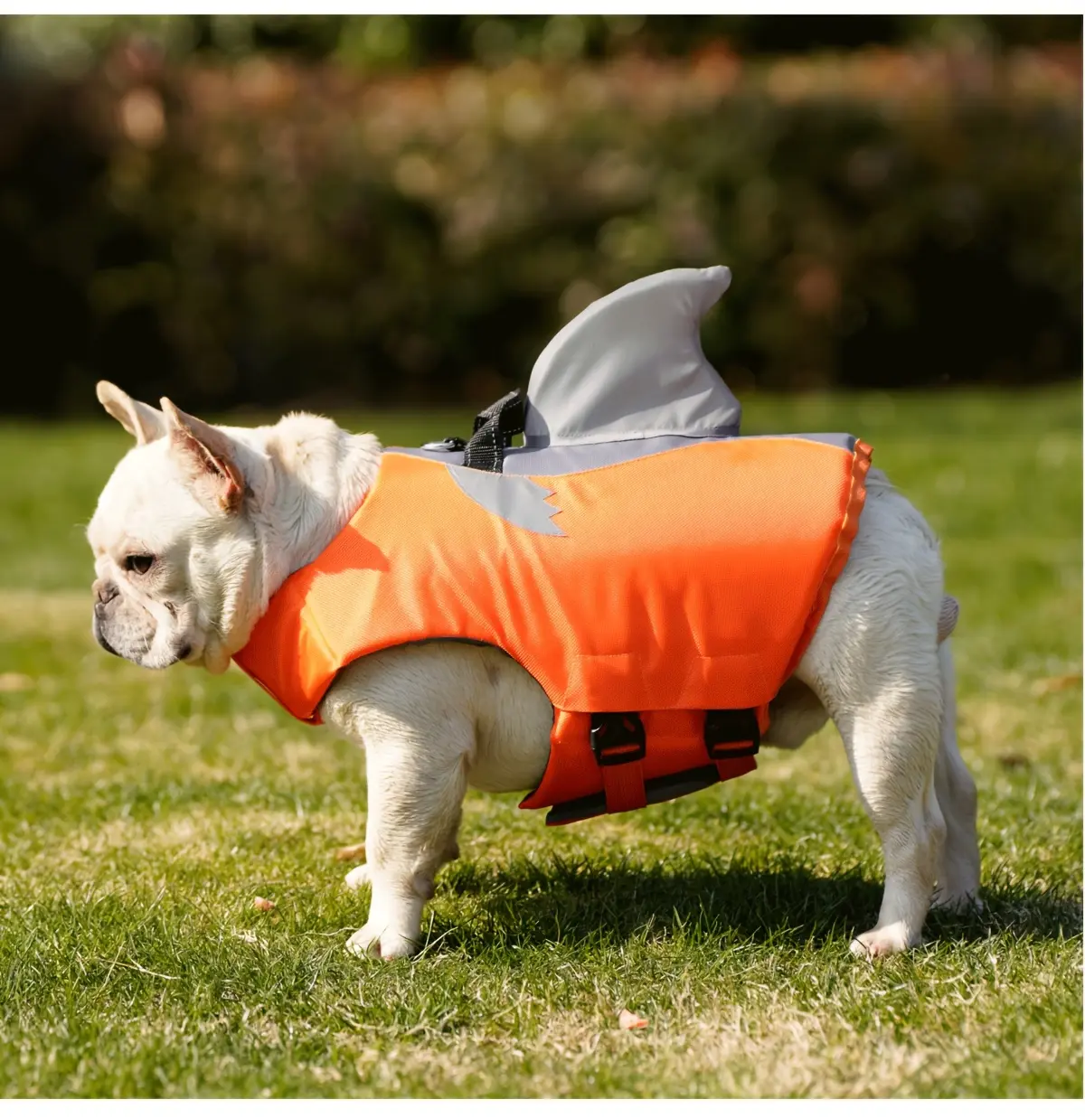 Reflective Shark Shape Pet Life Jacket for Water Safety & Visibility, Adjustable Fit – description image 10
