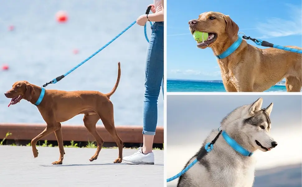 Reflective Pet Leash and Adjustable Nylon Collar for Dog Walking & Control – description image 3