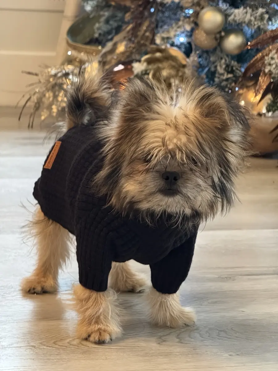 Pet Turtleneck Sweater for Warmth & Everyday Wear, Thick Knit Pullover – description image 1