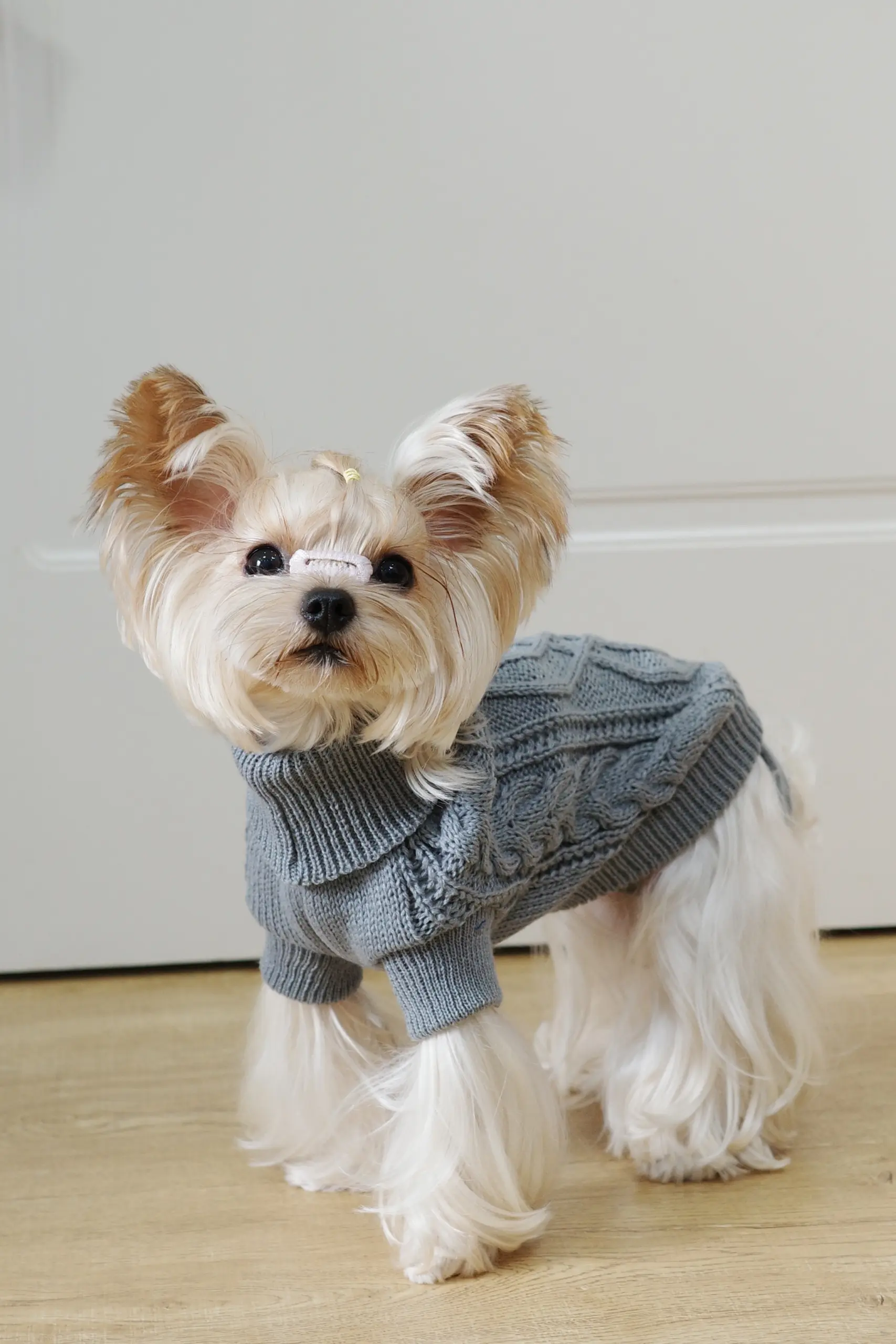 Dog Hooded Sweater for Warmth & Everyday Wear, Knit Pullover with Twisted Flower Detail – description image 1