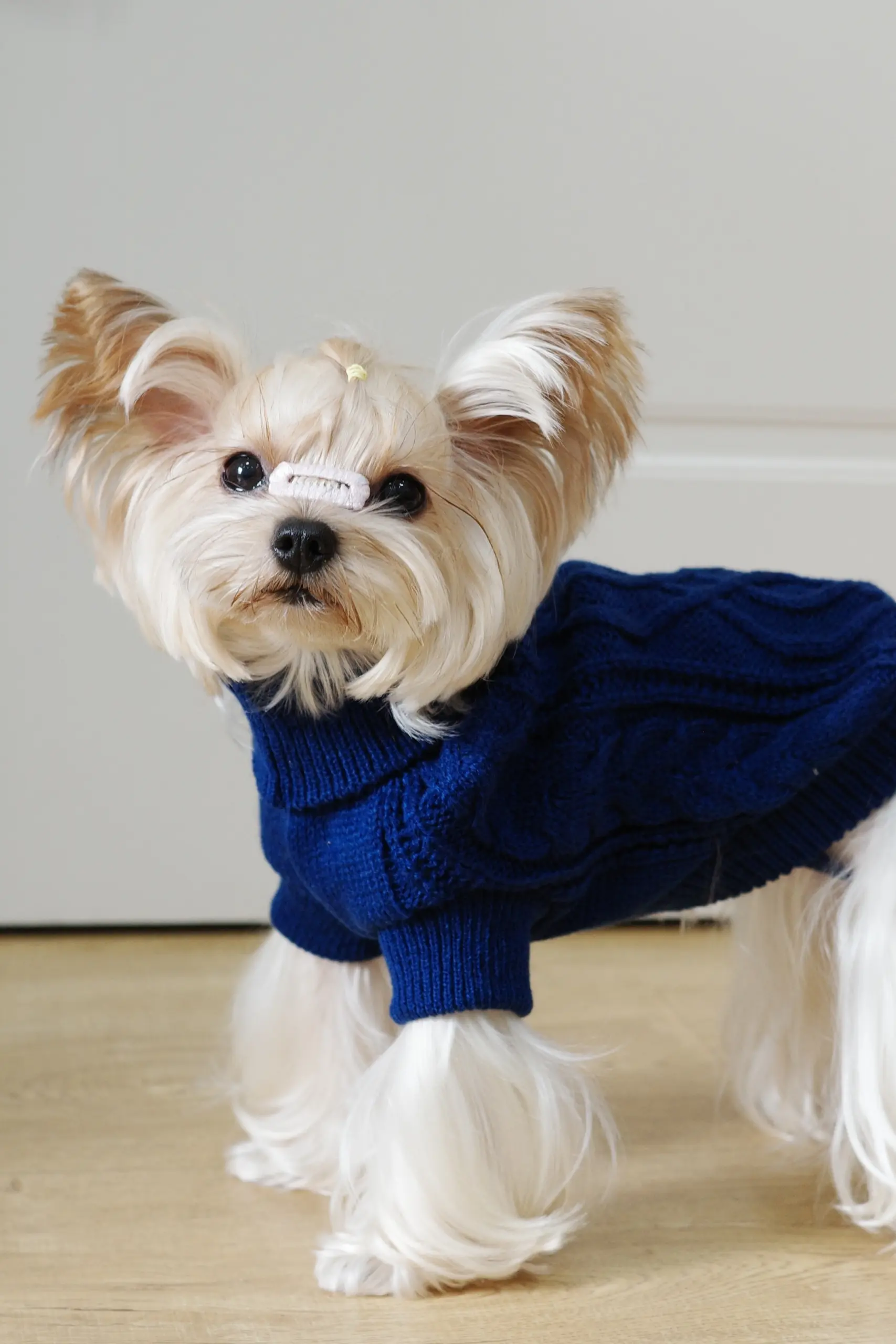 Dog Hooded Sweater for Warmth & Everyday Wear, Knit Pullover with Twisted Flower Detail – description image 10