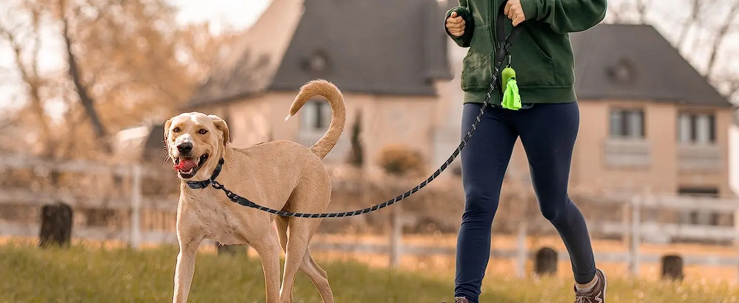 Reflective Pet Leash and Adjustable Nylon Collar for Dog Walking & Control – description image 2