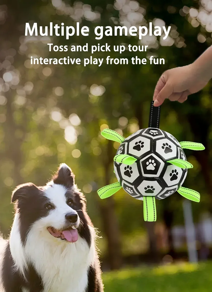 Chew-Resistant Bouncy Dog Toy for Fetch & Interactive Play – description image 1